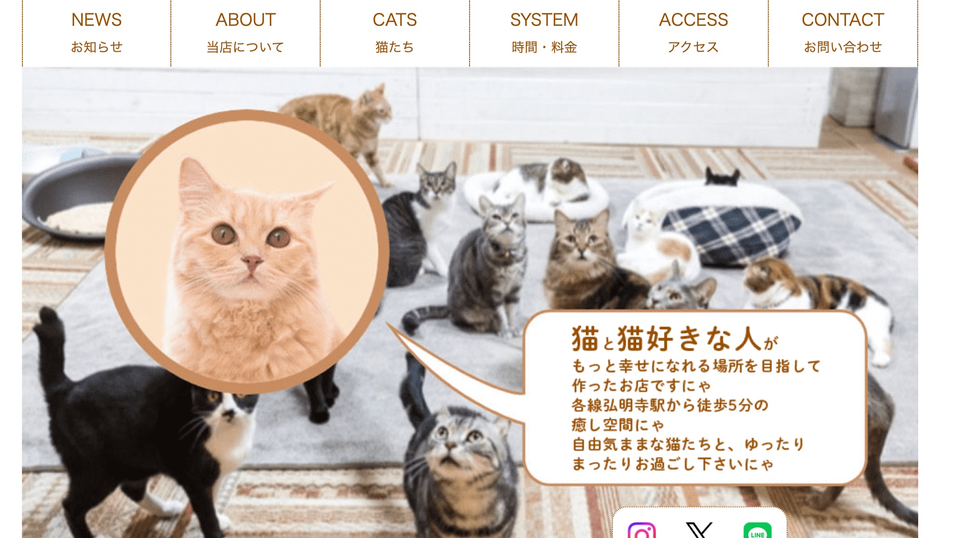 保護猫カフェサイト